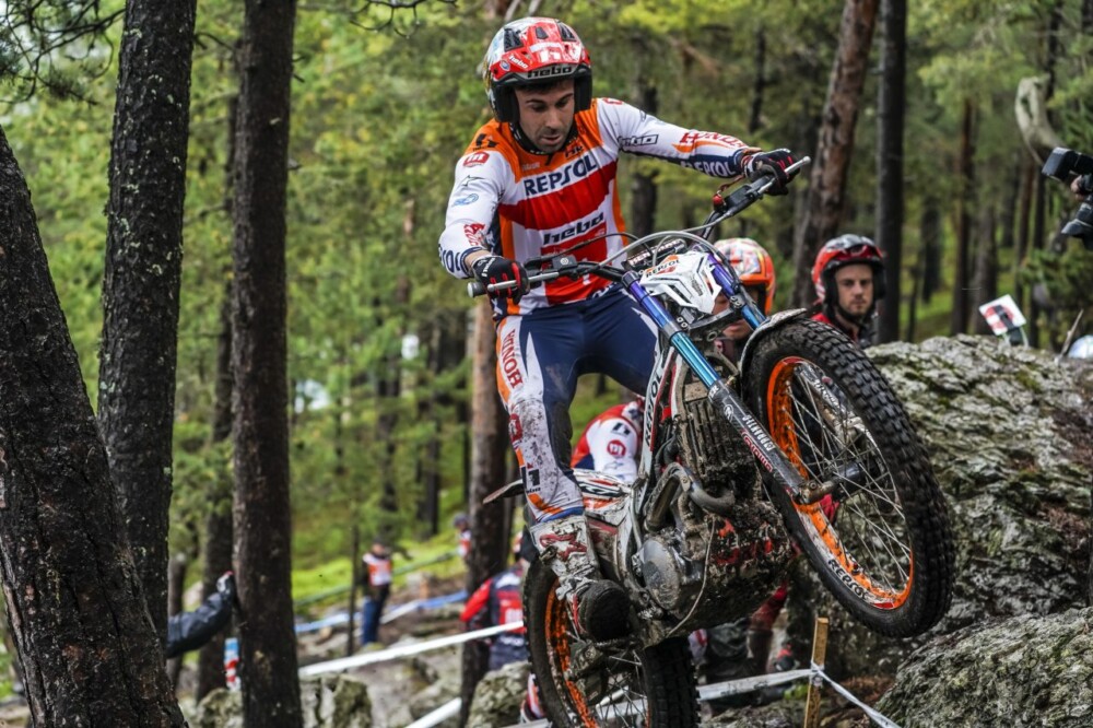 Toni bou online bike