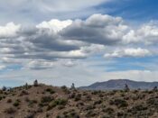 2024 Nevada 200 Trail Ride scenery